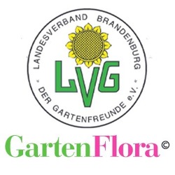 Verbandsinformationen Brandenburg GartenFlor 06/2023